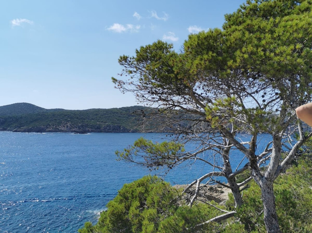 Quad-Mallorca-Andratx必去景点