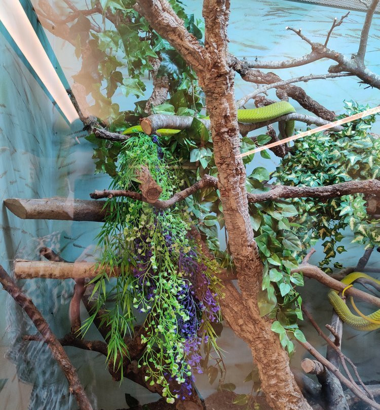 Reptilienzoo Scheidegg-Scheidegg必去景点