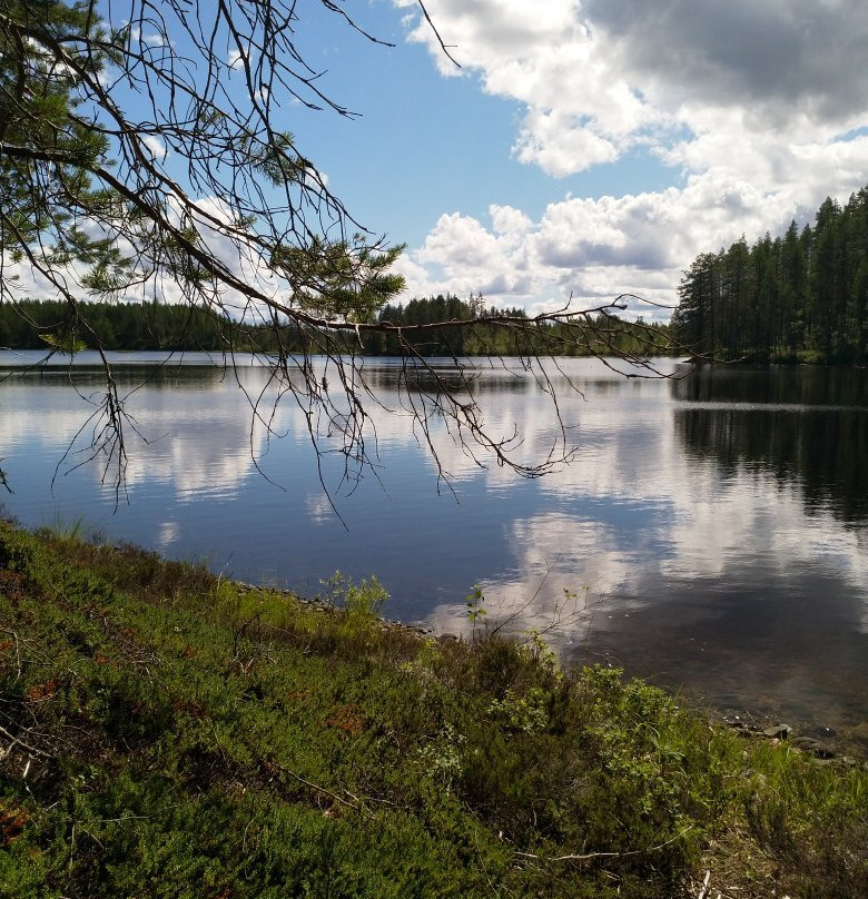 Petkeljärven Kansallispuisto-Ilomantsi必去景点