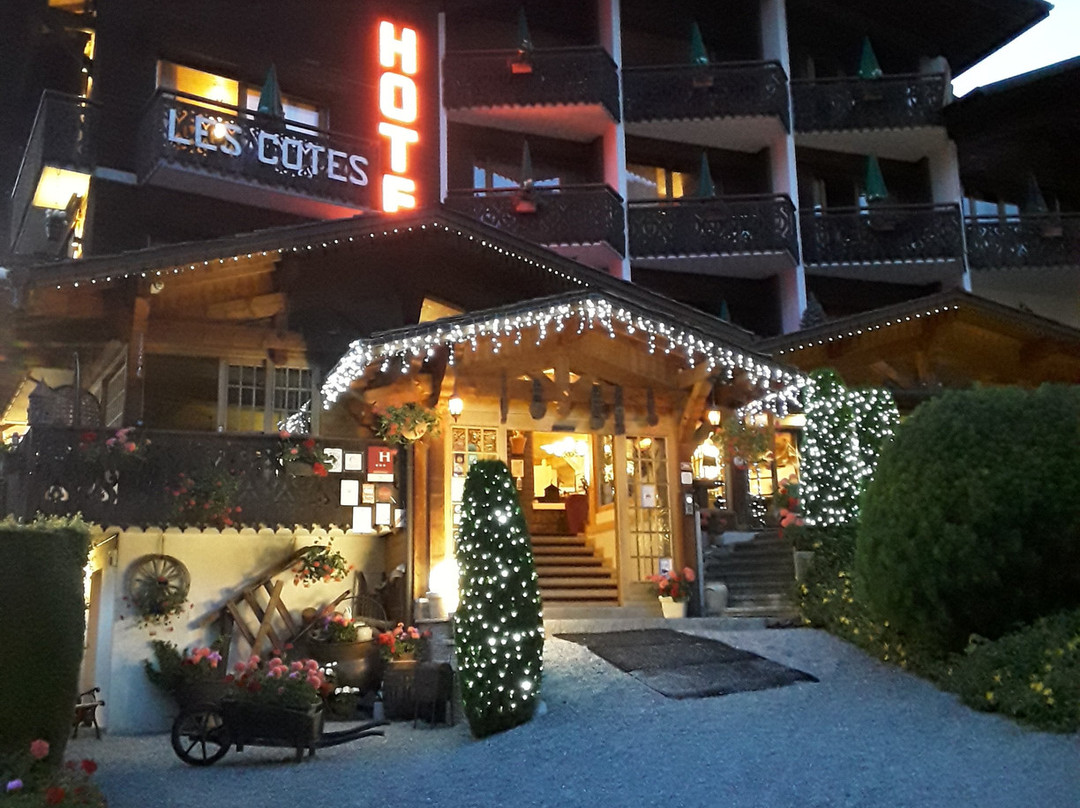 Hôtel Les Côtes主图