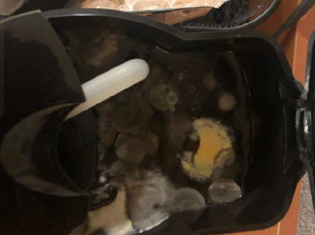 墨尔本棕榈湾/维埃拉费尔菲尔德客栈及套房酒店主图