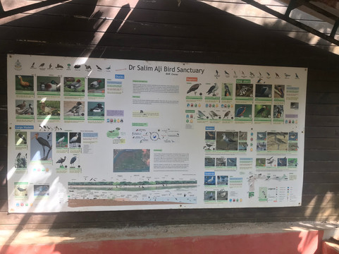 Chandi with Knuckles-康提必去景点