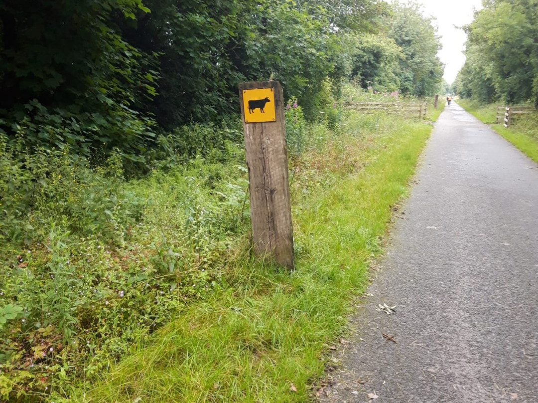 Old Rail Trail-Mullingar必去景点