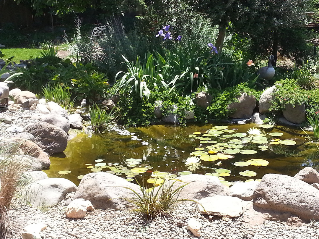 Creative Water Gardens景点图片