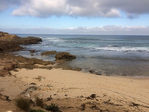 Pearses Beach景点图片
