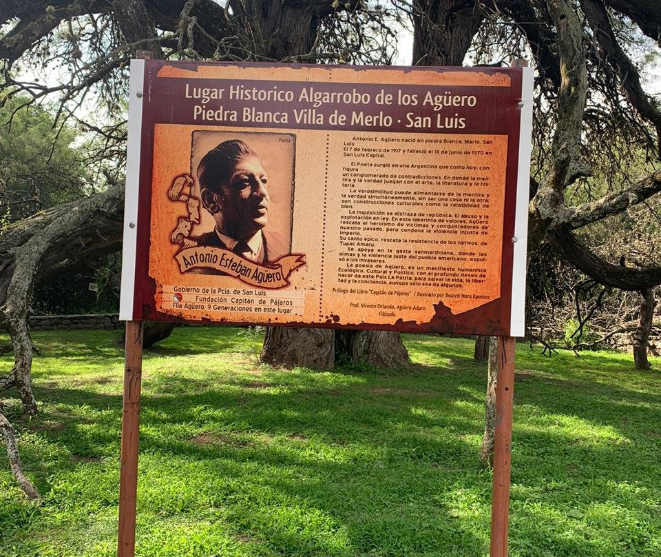 Algarrobo de los Aguero (Algarrobo Abuelo)-梅洛必去景点