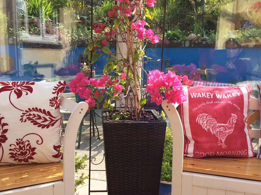 The Great Grubb Bed and Breakfast主图