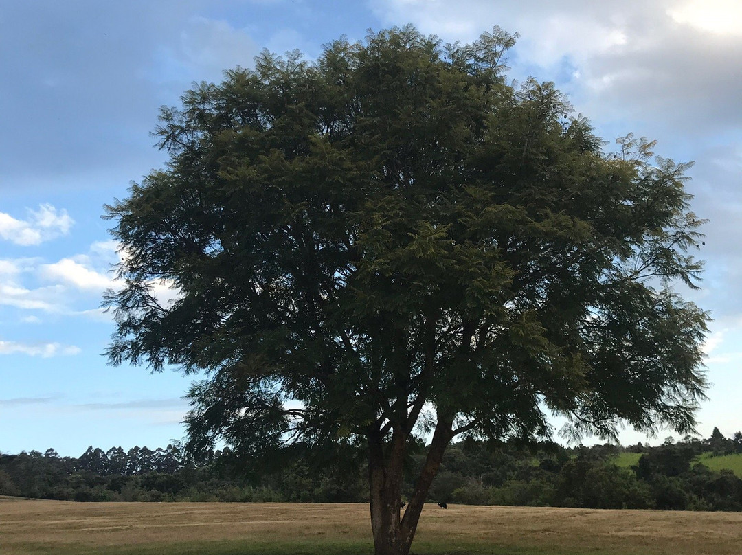 Mafinga旅游攻略图片