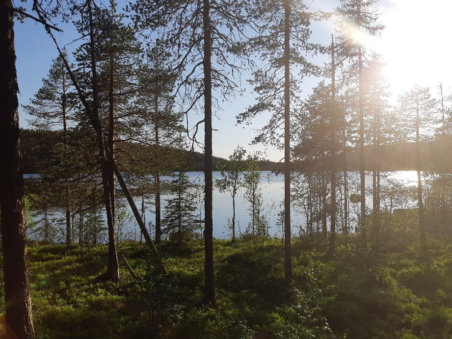Björnlandet Nationalpark景点图片