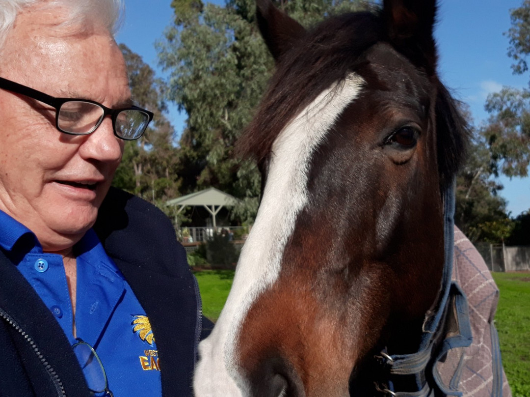 Whispering Pines B&B主图