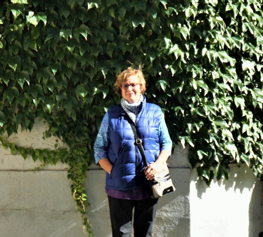 Tour4U - Bratislava Sightseeing景点图片