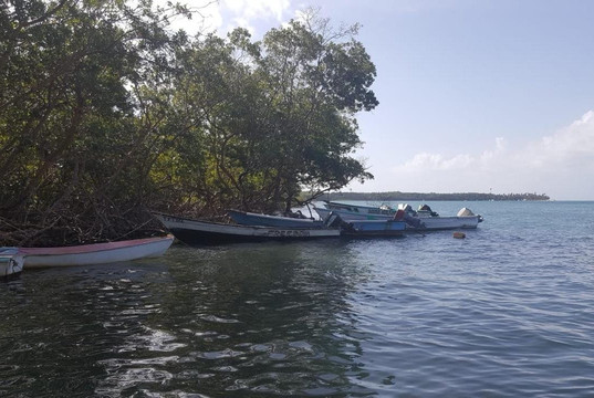 Brandon Tour's Tobago-克朗波因特必去景点