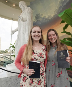 Sao Paulo Brazil Temple & Visitors' Center景点门票图片