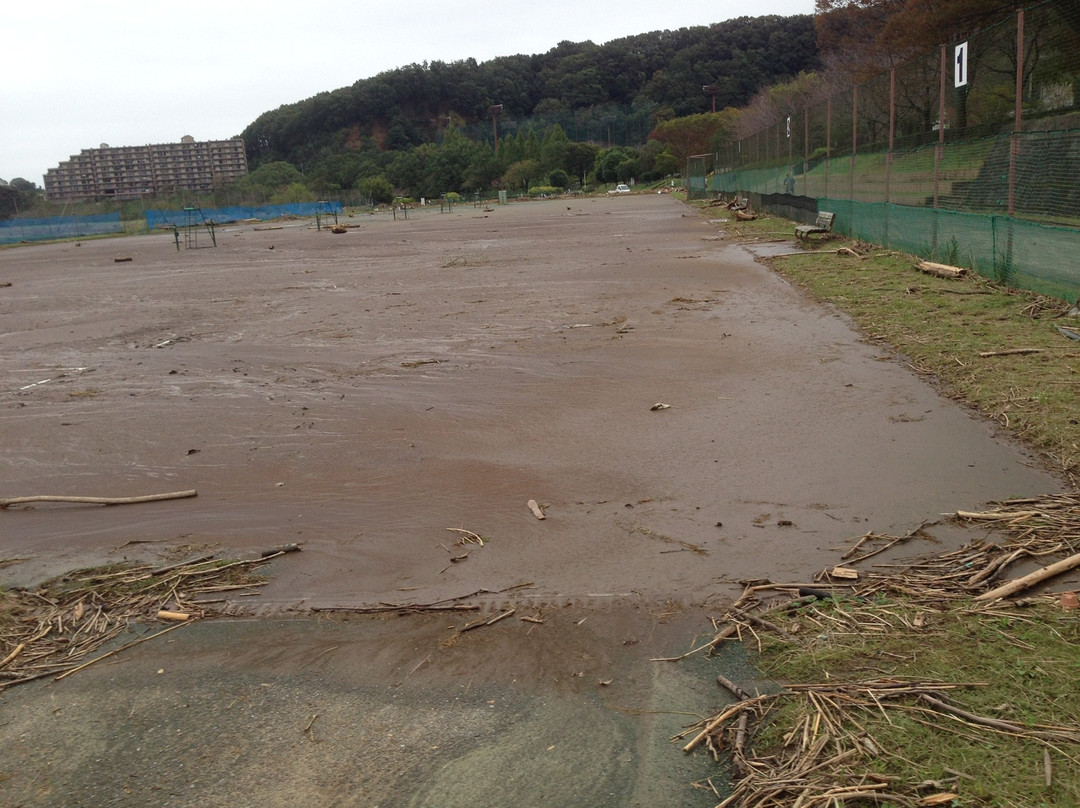 Irumagawa Promenade-入间市必去景点