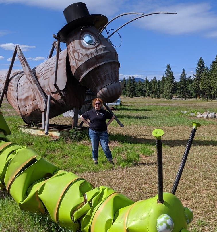 Large Junk Art Sculptures景点图片