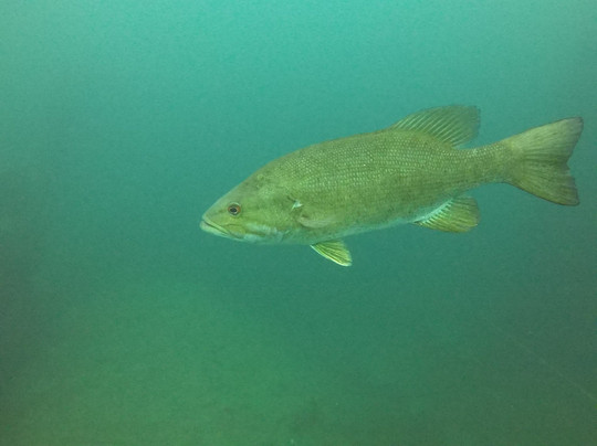 Gilboa Quarry-Ottawa必去景点