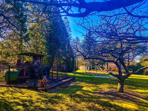 探索Blue Mountains National Park