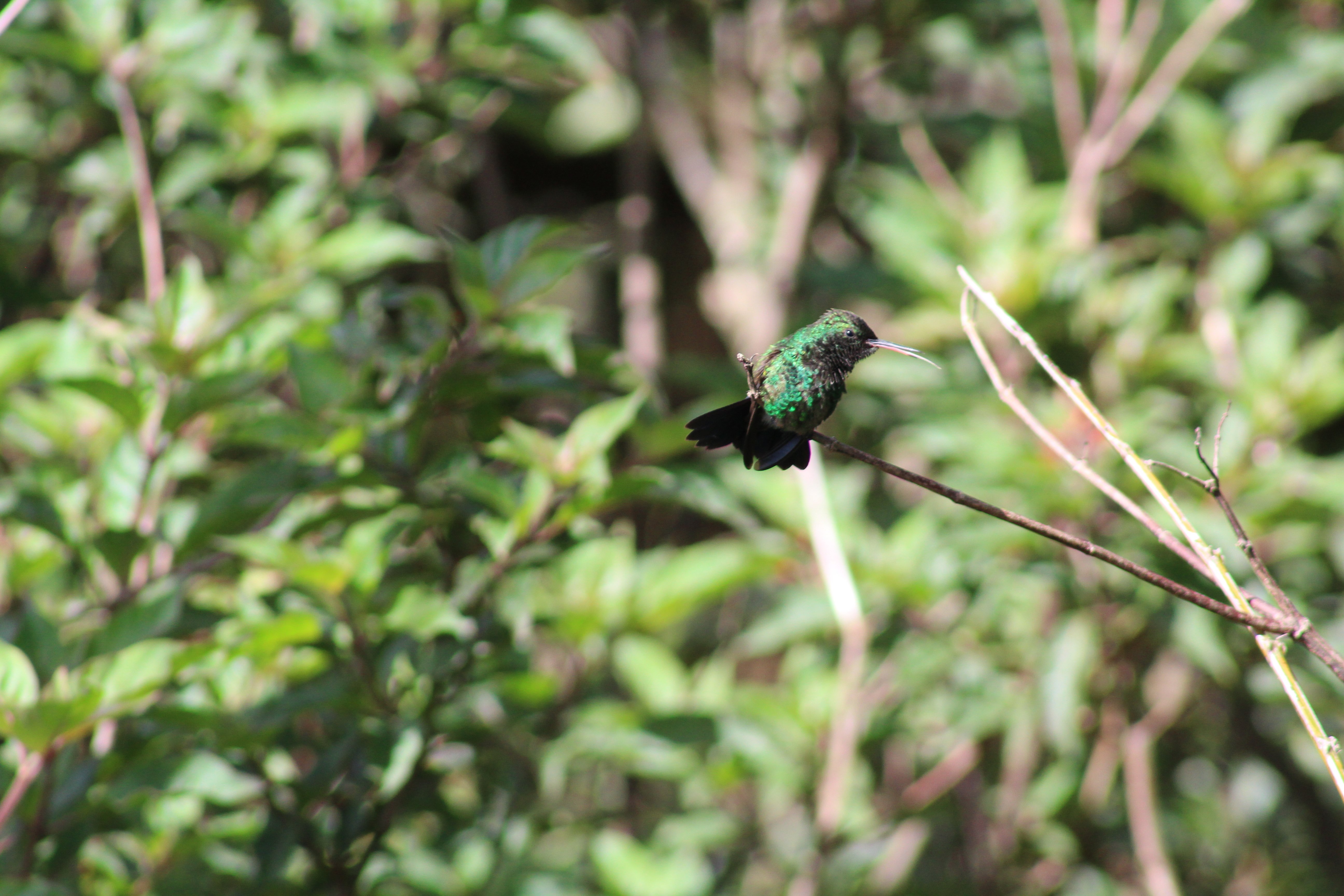 Cala Lodge-酒店景观