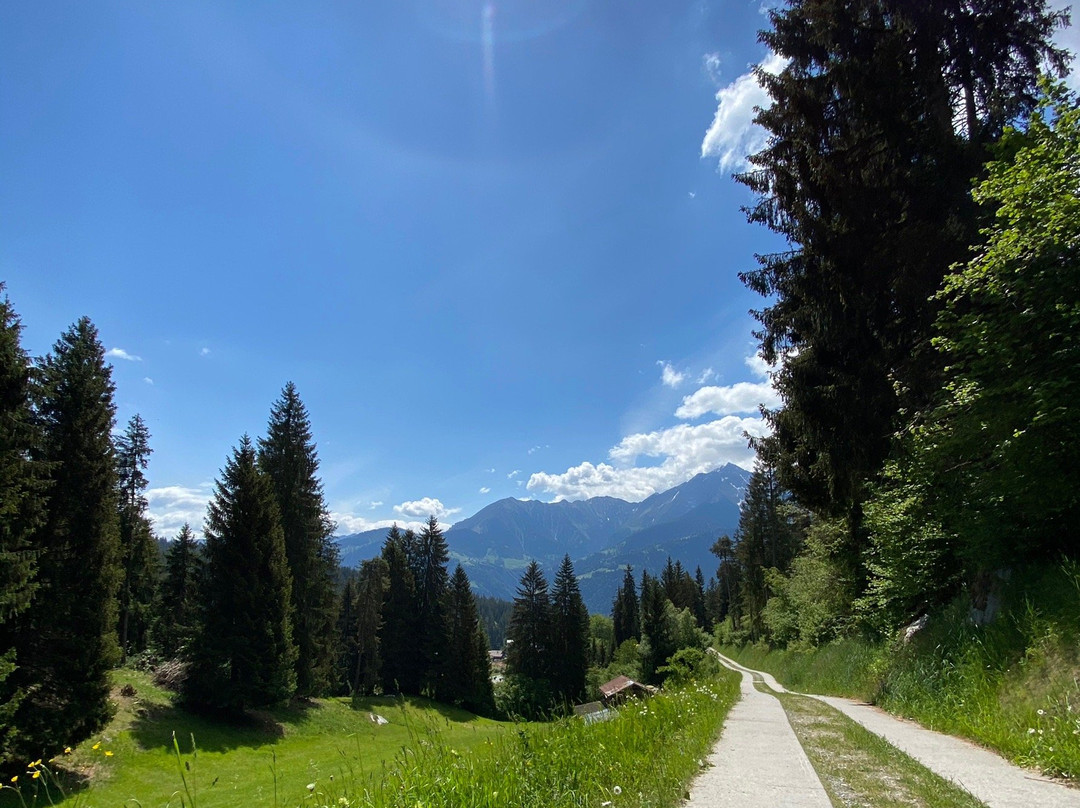 Alpen Arena-Flims必去景点
