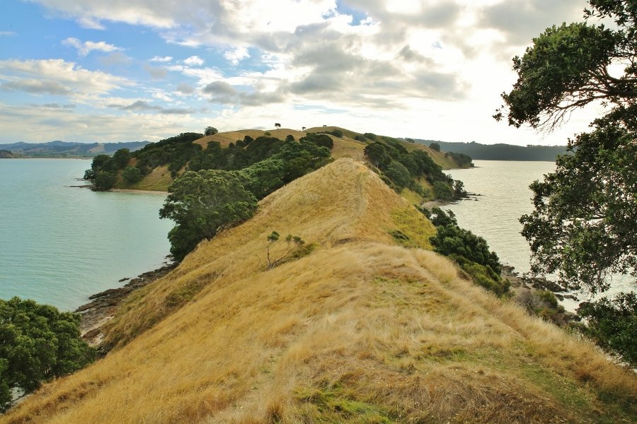 Duder Regional Park-Howick必去景点