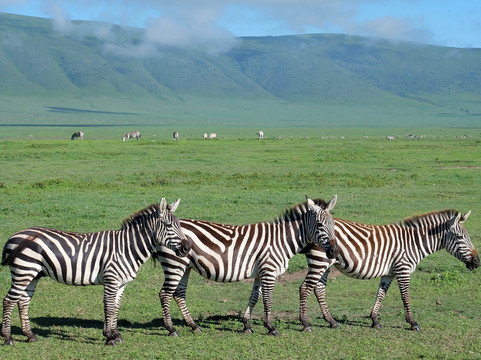 Tunu African Adventures-阿鲁沙必去景点