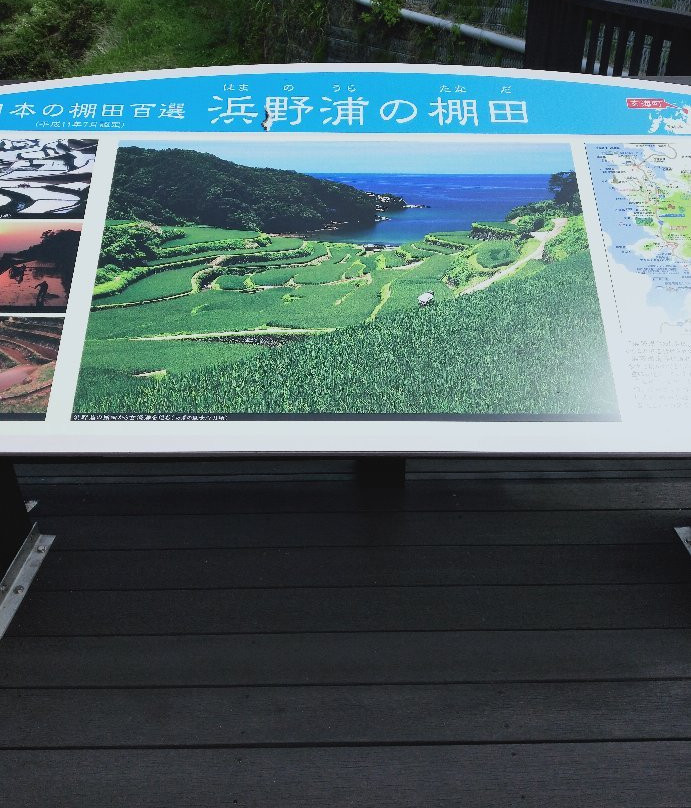 Hamanoura Rice Terrace景点图片