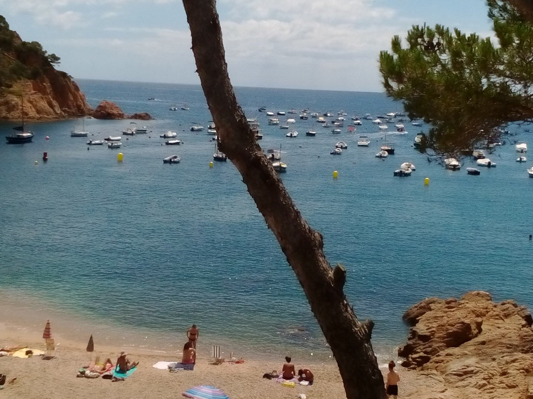 豪斯达里罗酒店主图