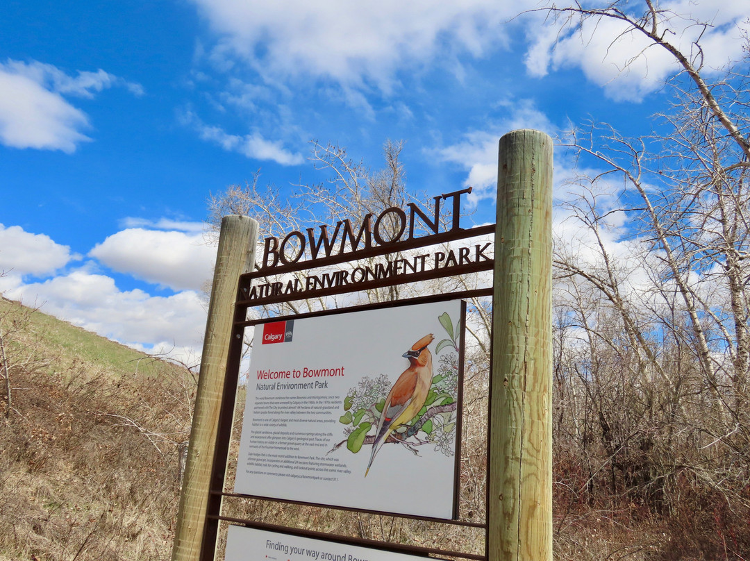 Bowmont Park-卡尔加里必去景点