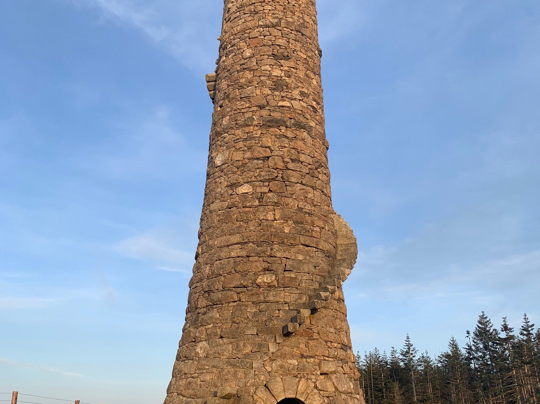 Ballycorus Lead Mines-Shankill必去景点