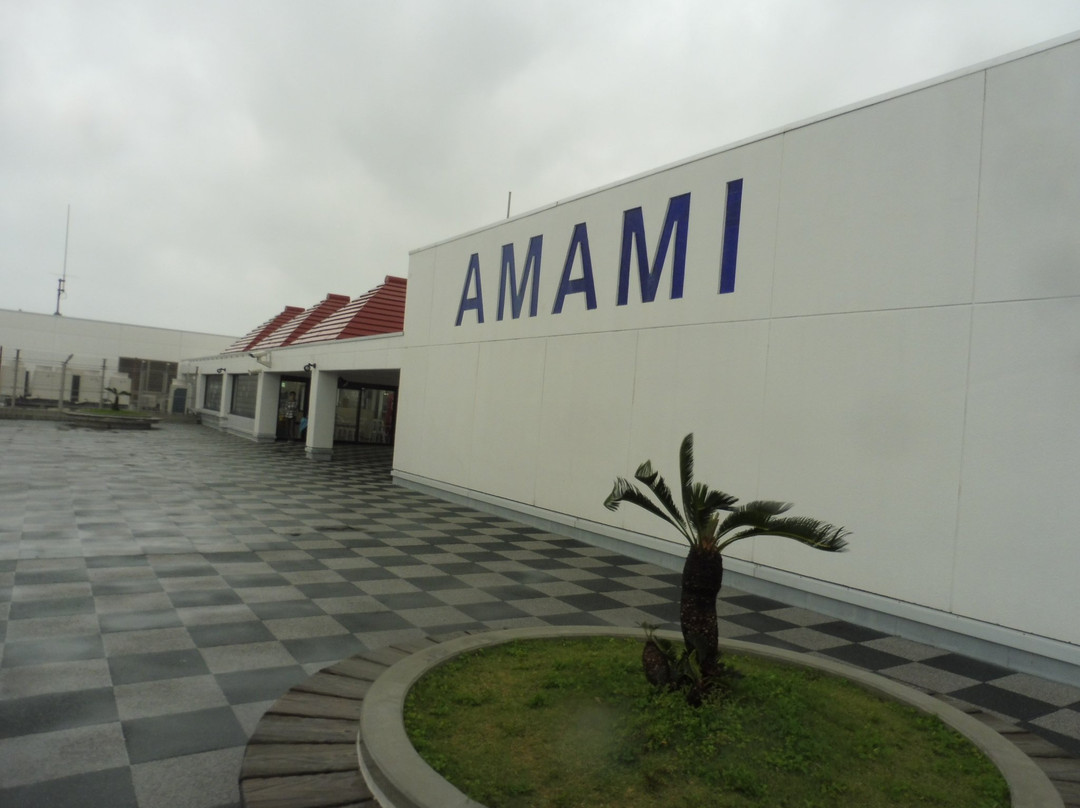 Amami Airport Visitors Deck-奄美市必去景点