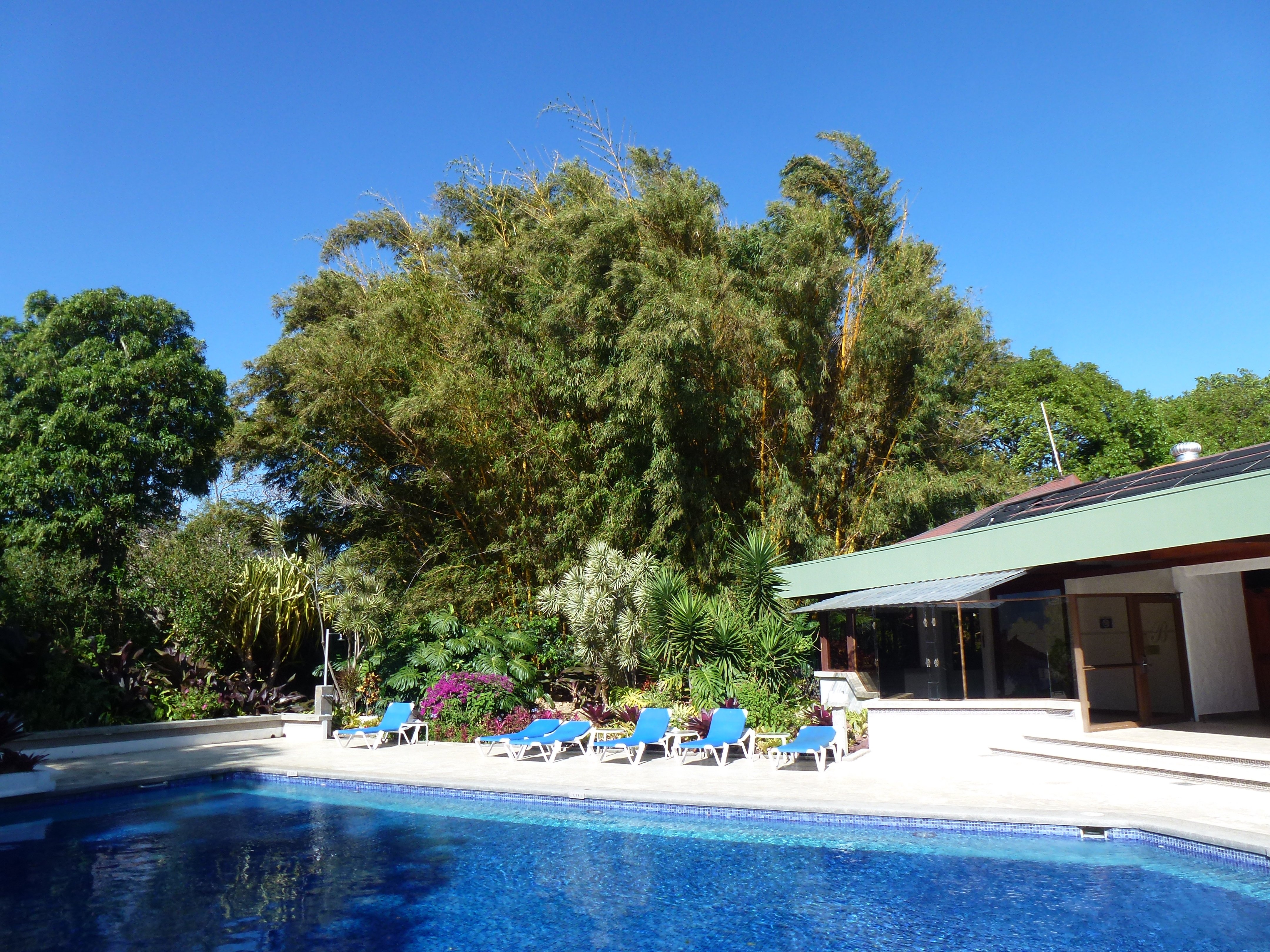 Hotel Bougainvillea-泳池
