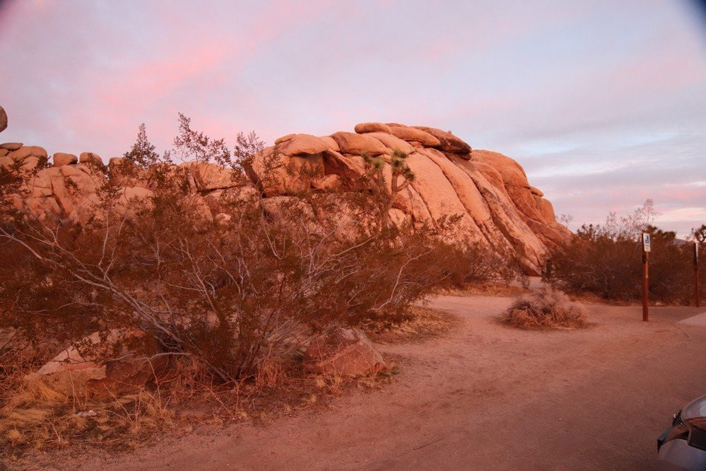 Banana Cracks Rock-约书亚树必去景点