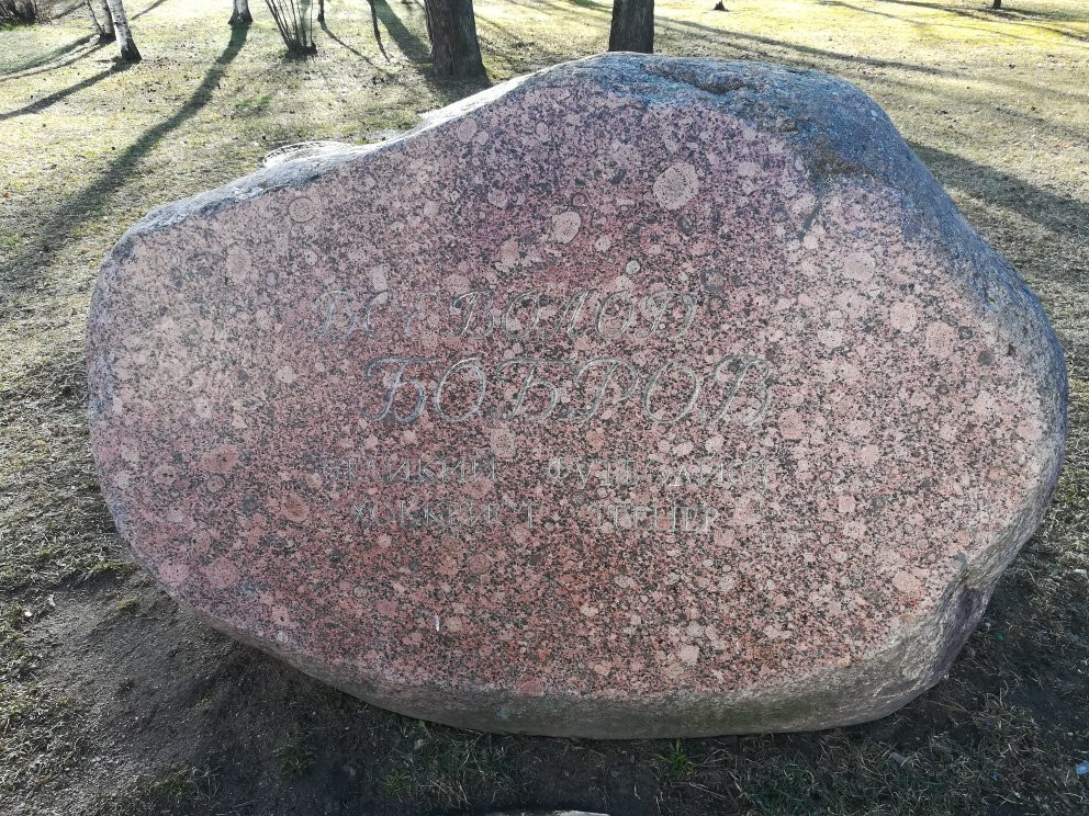 Monument to Vsevolod Bobrov景点图片