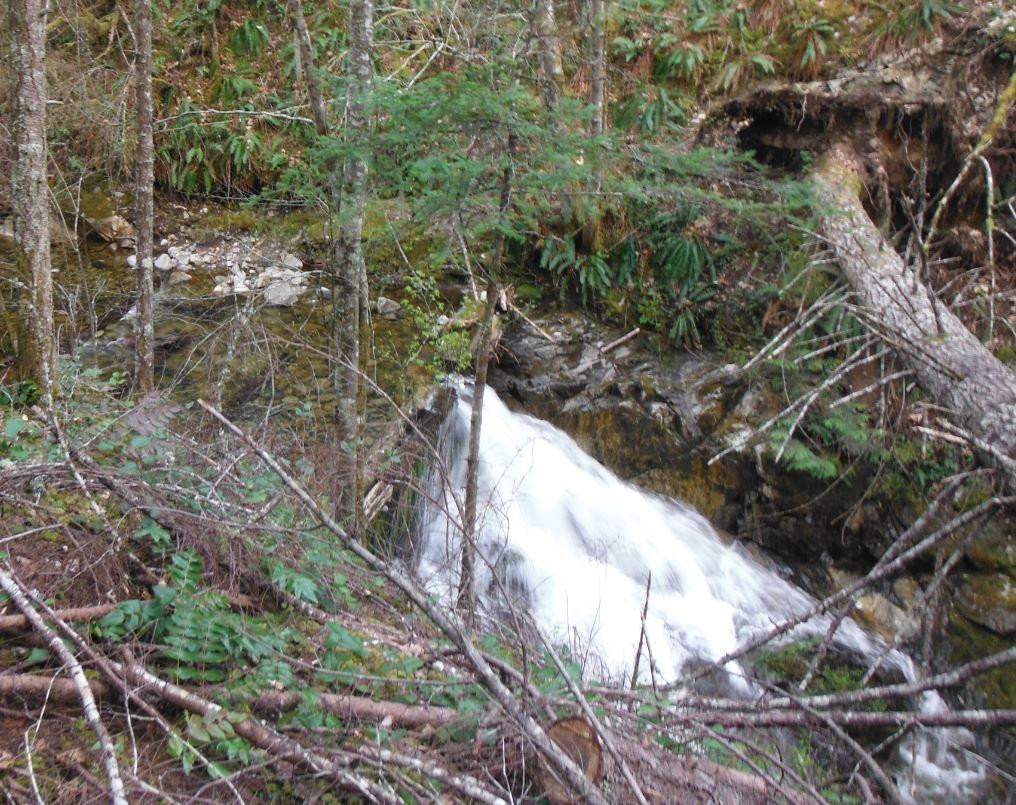 Holland Creek Hiking Trails景点图片