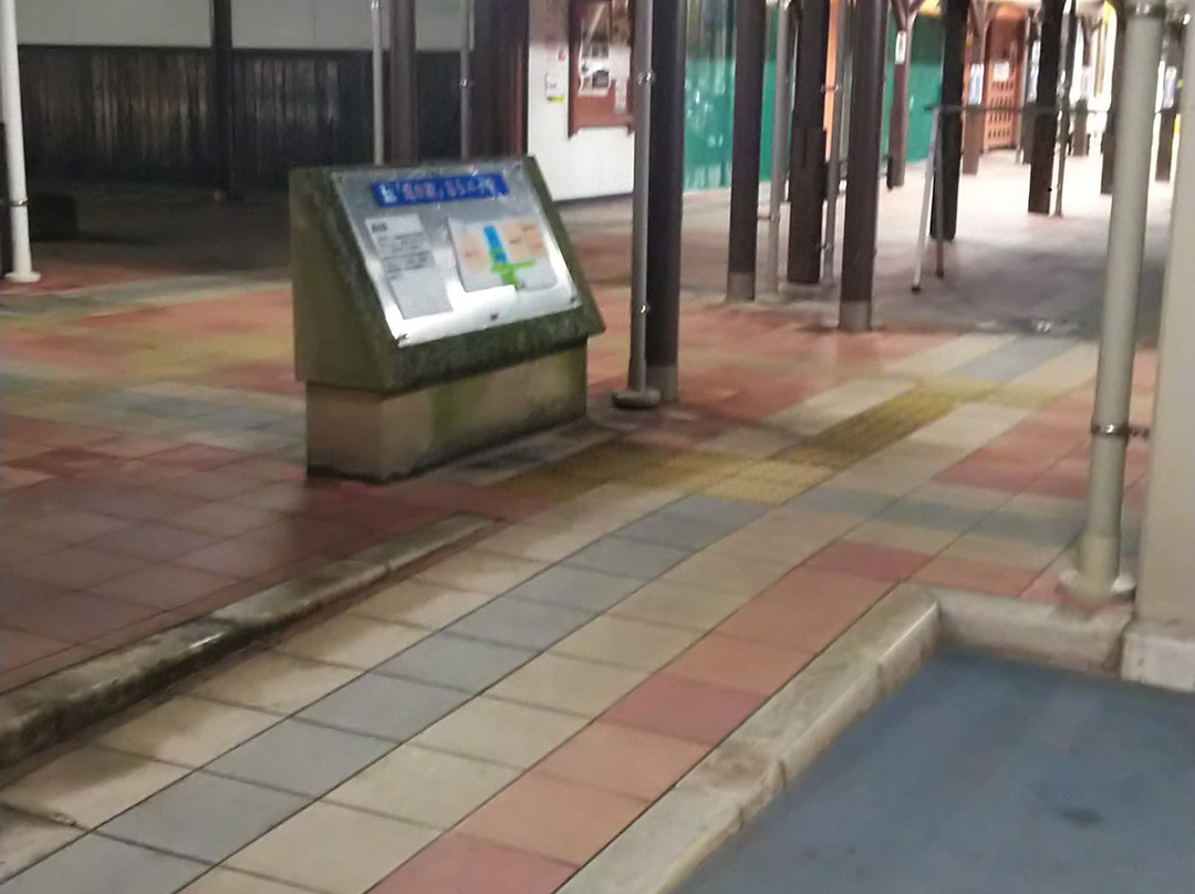 Michi no Eki Araessa-安来市必去景点