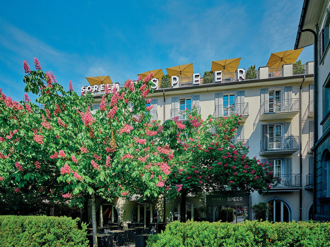 Sorell Hotel Speer主图