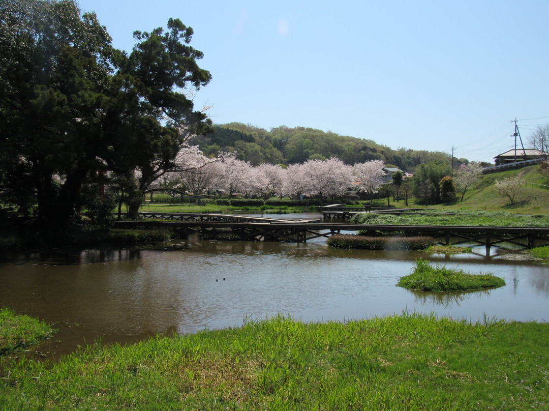 Isukushima Shissei Park景点图片