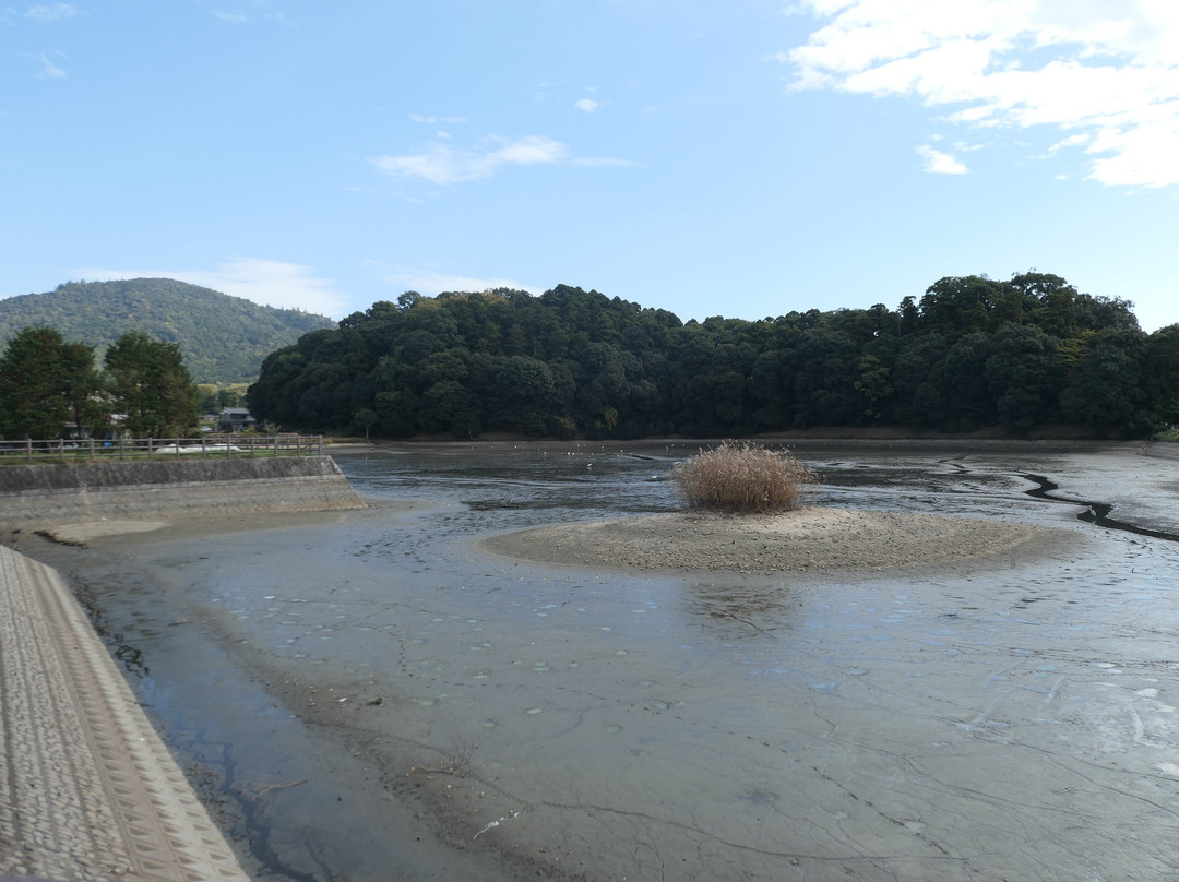 Hashihaka-樱井市必去景点