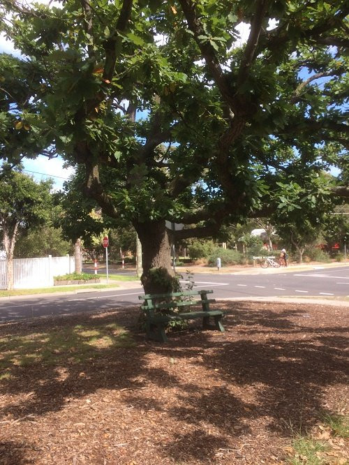 A J Steele Reserve-Sandringham必去景点