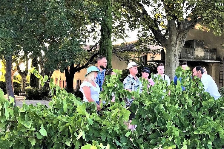 Private Wine Tasting Tours - Visites privées du domaine et dégustation-Cairanne必去景点