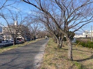 Sumiyoshi Embankment-廿日市市必去景点