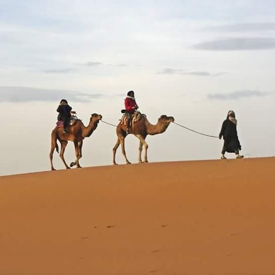 Camp Bivouac Hassi Samra主图