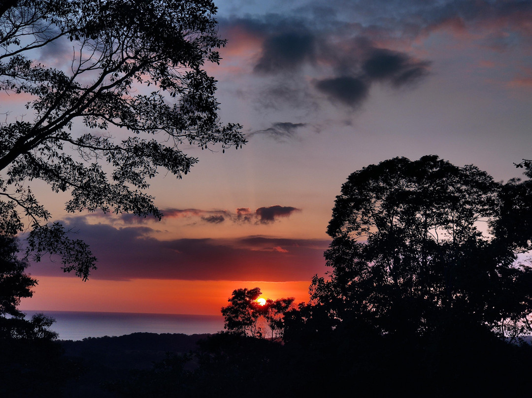 Casa del Toucan主图