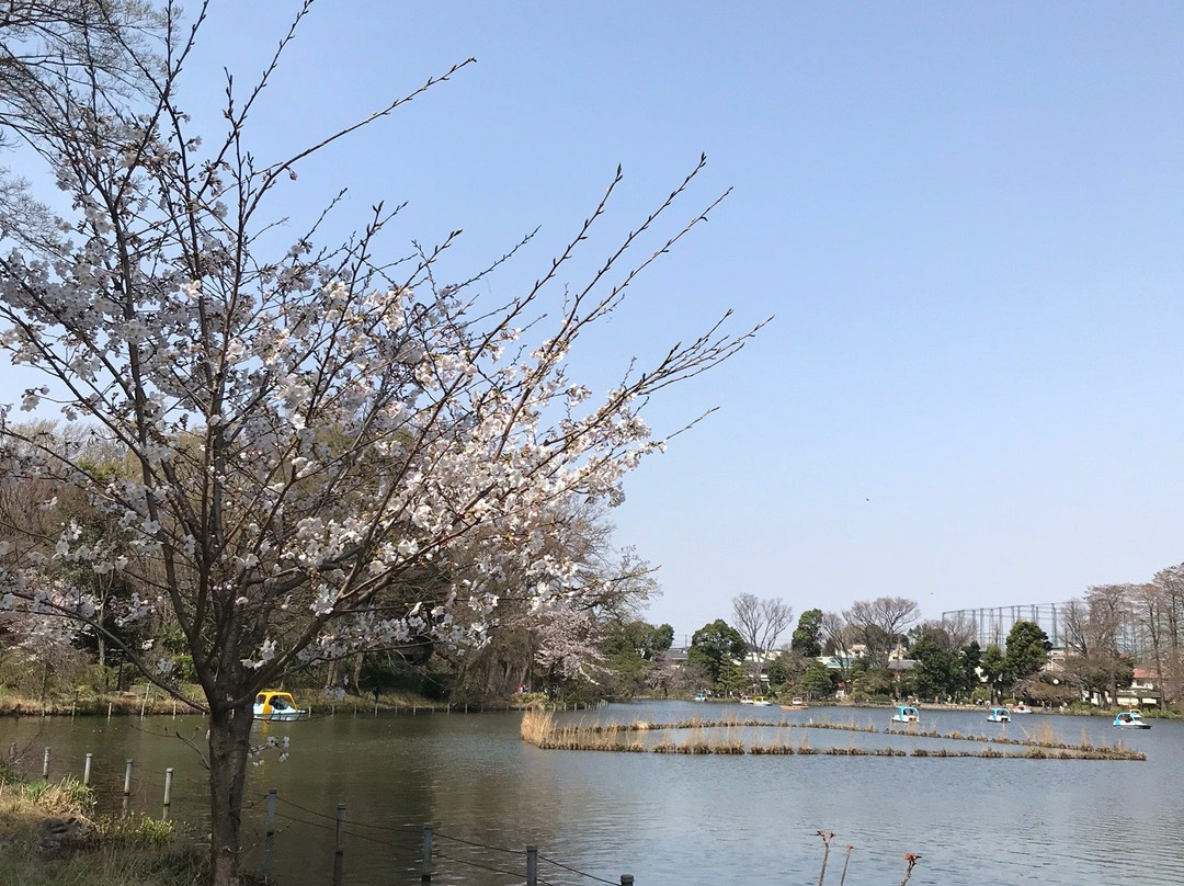 Zempukuji Park-杉并区必去景点
