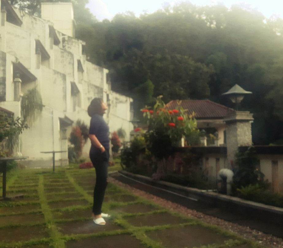 Pines Garden Hotel主图