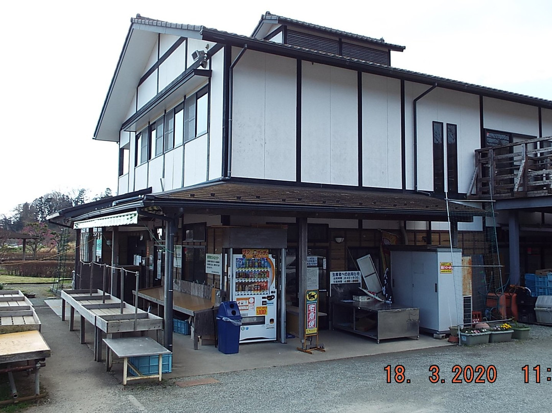 Tawara Furusato Park-秦野市必去景点