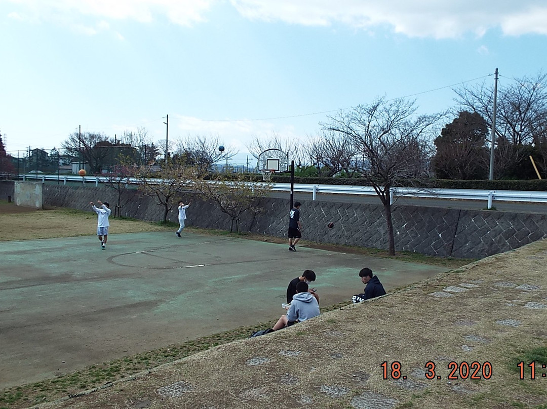Tawara Furusato Park-秦野市必去景点