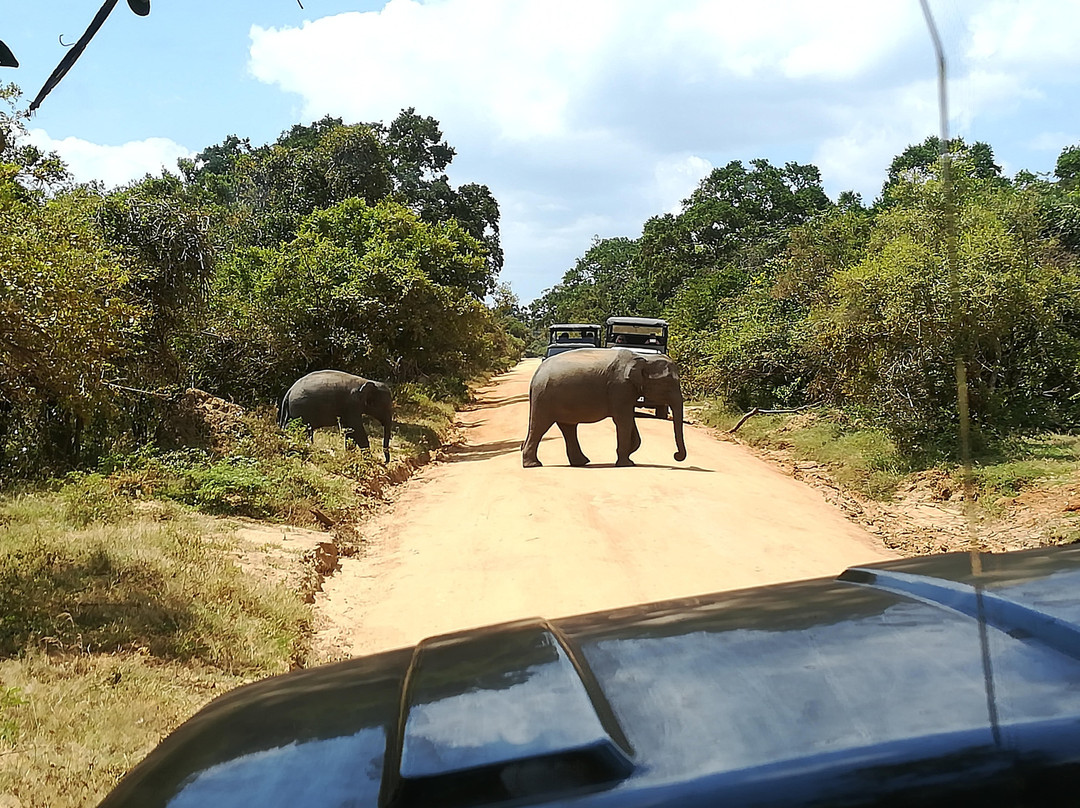 Roshan Safari景点图片