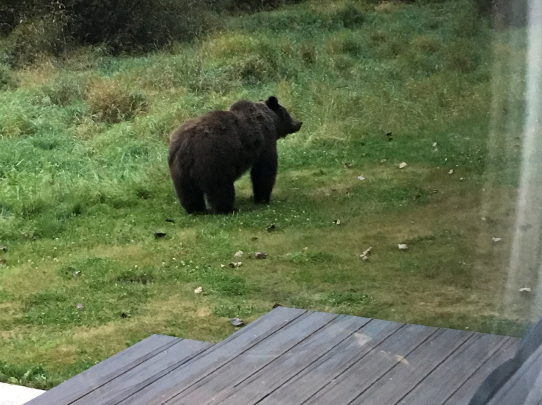 Tweedsmuir Park Lodge主图