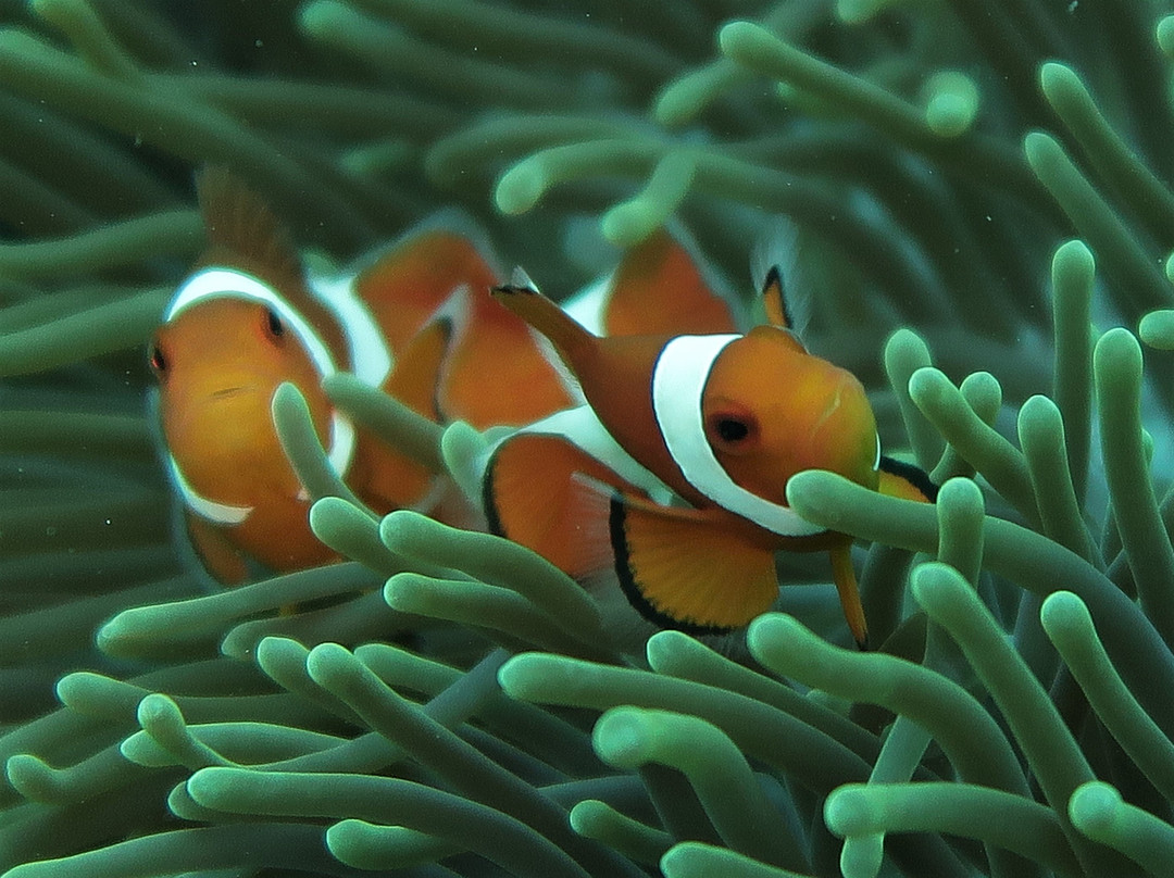 Bituon海滩度假村主图